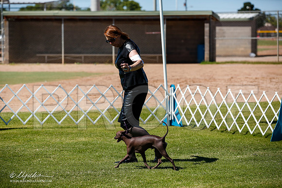 _JJ_8208-AlamogordoOct2014-HR3