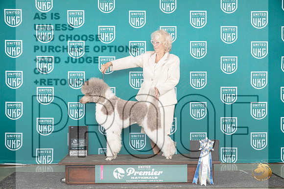 Poodle Std MC #1214 Fri UPA card__JP_3115_Premier_2024_HR3