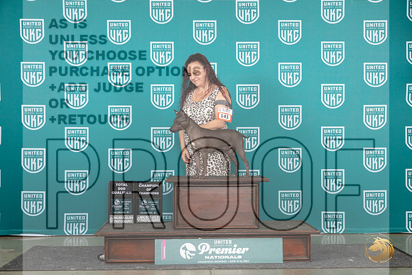 American Hairless Terrier #141 Sat COC TD Judge Corianna Glenn__JP_2683_Premier_2024_HR3