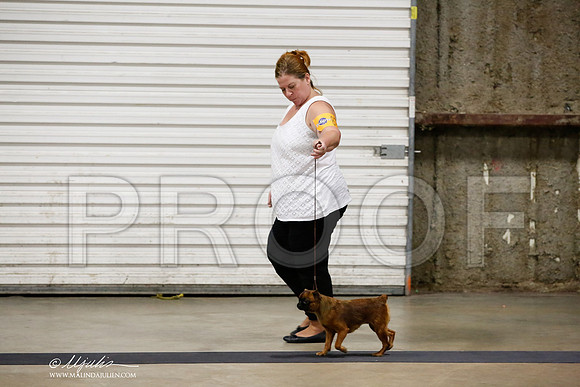 _HR_4025-CnroeJul2014-HR3