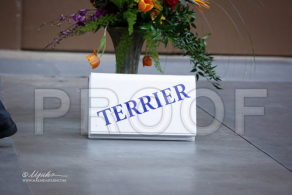 TerGrp-5772-SANov13-HR
