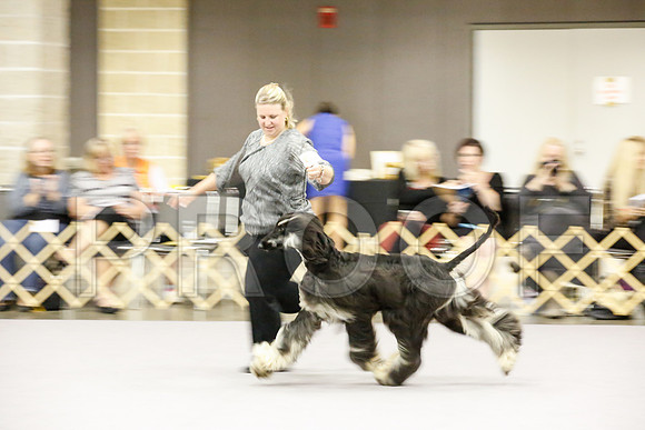 _JJ_9067-AfgBeltonOct2014-HR3