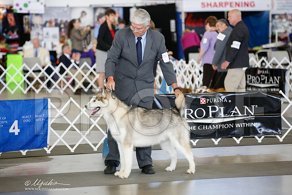 _JJ_4186-DallasJul2014-HR3