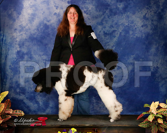 PdMC-8746-NormNov2013-HR