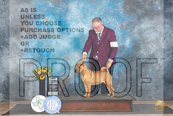 Chinese Shar Pei #12 Fri BOBGCH Judge Sharol Candace Way__JP_9189_Abilene_2024_HR3