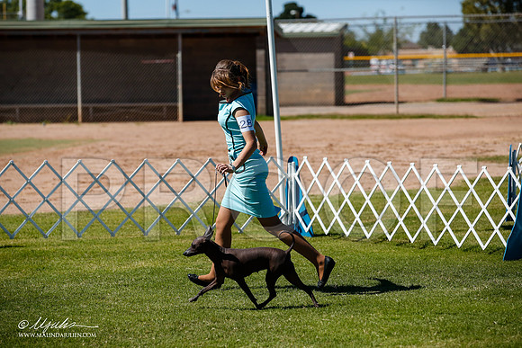 _JJ_8468-AlamogordoOct2014-HR3