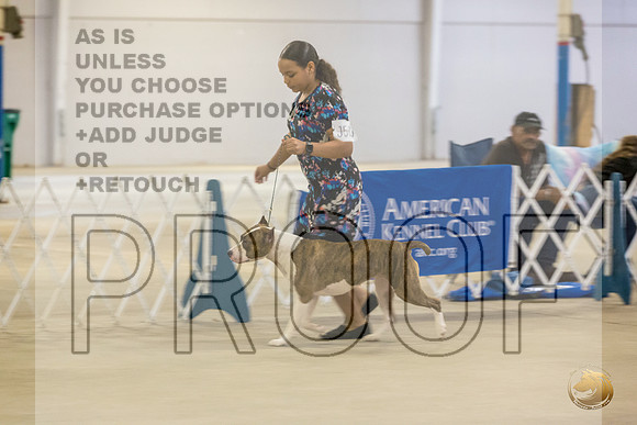 *Candids Mon JuniorsJJL_6555_STCABelton2023_HR3