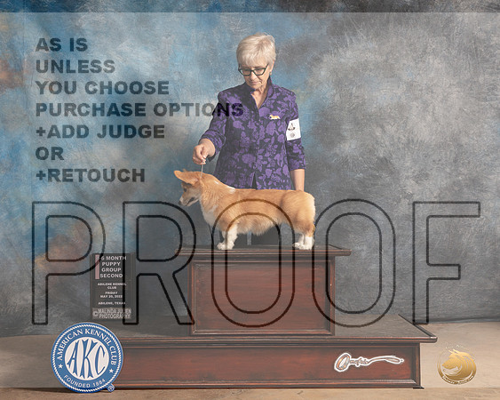 Pembroke Welsh Corgi #6 Fri PG2 Judge Thomason Stanfield Jr-MMJ_3033-Addison2022-HR3