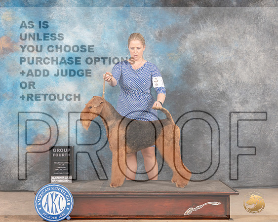 Airedale #5 Sat G4 Judge Gloria Kerr-MMJ_4080-Abilene2022-HR3