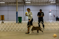 *Candids Mon Regular Dog