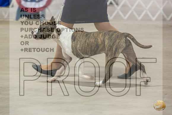 *Candids Mon Regular DogJJL_6771_STCABelton2023_HR3