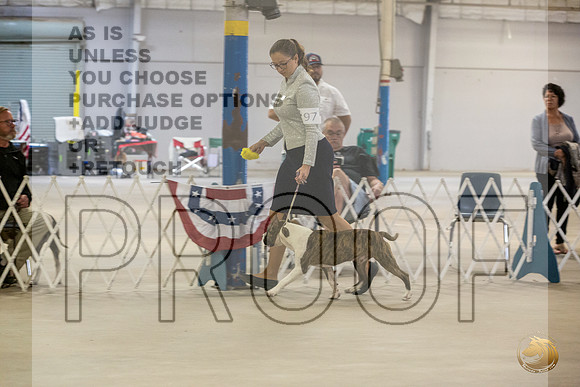 *Candids Mon Regular DogJJL_6774_STCABelton2023_HR3