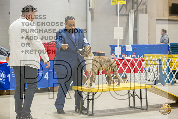*Candids Mon Regular DogJJL_6810_STCABelton2023_HR3