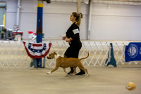 *Candids Mon Sweeps BItches 2