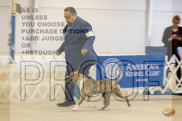 *Candids Mon Sweeps BitchesJJL_5777_STCABelton2023_HR3