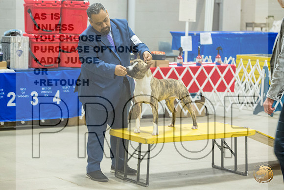 *Candids Mon Sweeps BitchesJJL_5792_STCABelton2023_HR3