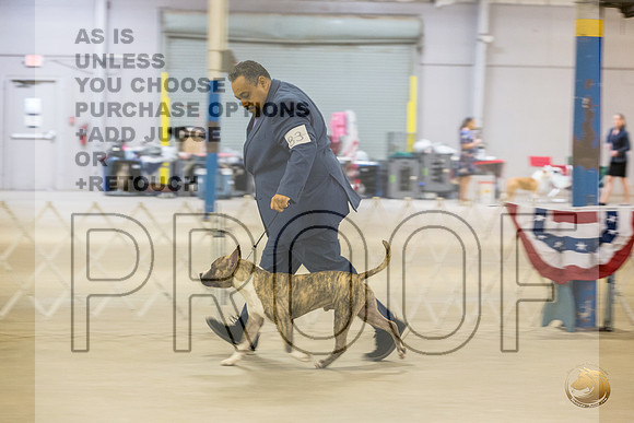 *Candids Mon Sweeps BitchesJJL_5801_STCABelton2023_HR3