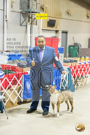 *Candids Mon Sweeps BitchesJJL_5807_STCABelton2023_HR3