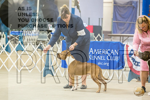 *Candids Mon Sweeps BitchesJJL_5811_STCABelton2023_HR3