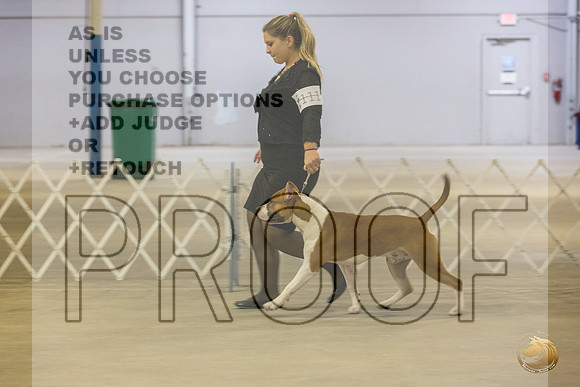 *Candids Mon Sweeps DogsJJL_5741_STCABelton2023_HR3