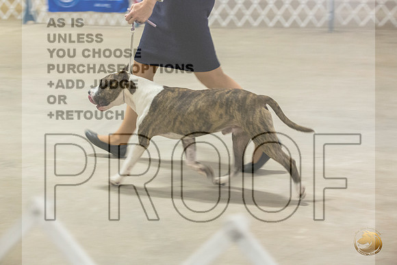 *Candids Mon Sweeps DogsJJL_5754_STCABelton2023_HR3