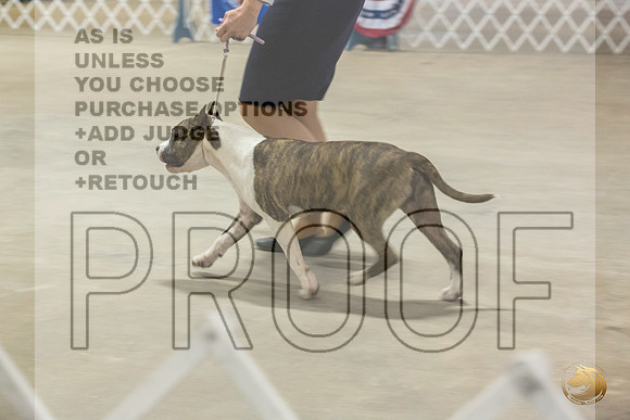 *Candids Mon Sweeps DogsJJL_5755_STCABelton2023_HR3