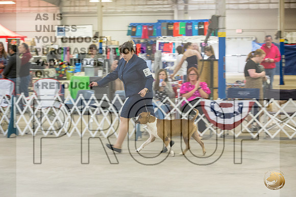 *Candids Mon Sweeps VetJJL_6190_STCABelton2023_HR3