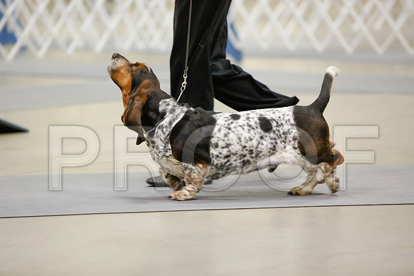 _JN_3022-AmarilloSept2014-HR3