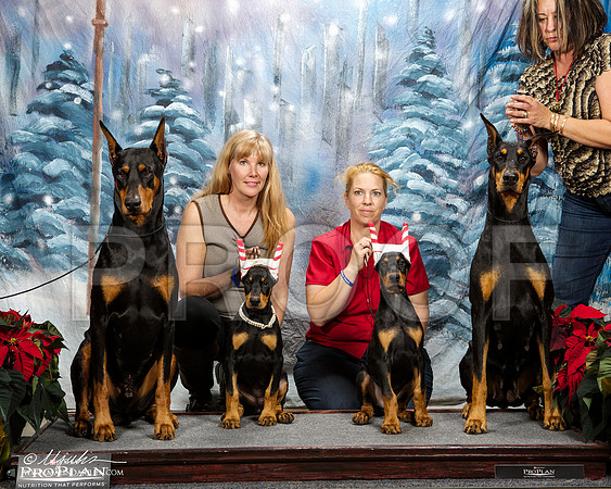 _ST_8346-DallasDec2014-HR3