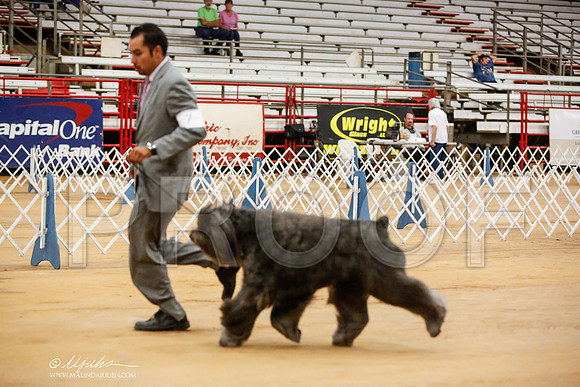 _JN_5308-TxArJun2014-HR3