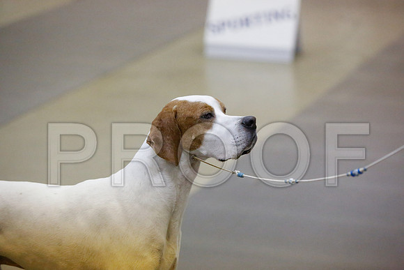 _JN_4706-AmarilloSept2014-HR3