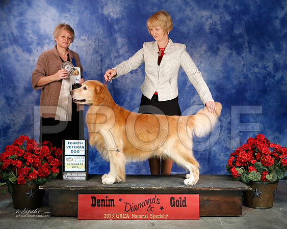 Vet10-7726-WFOct2013-HR