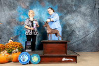 American Hairless Terrier #16 BOW Jude Lisa Graser