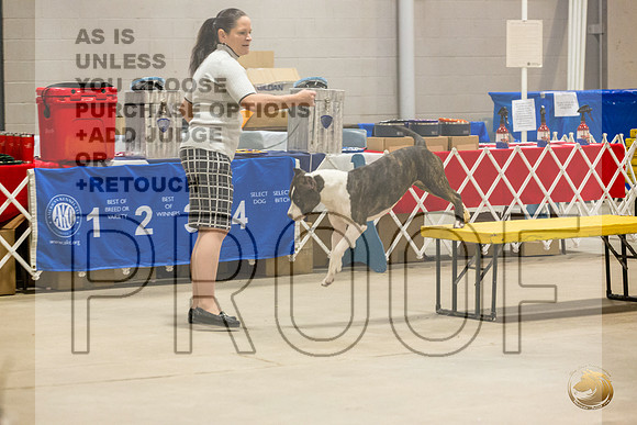 *Candids Tues BOB 4JJL_8538_STCABelton2023_HR3