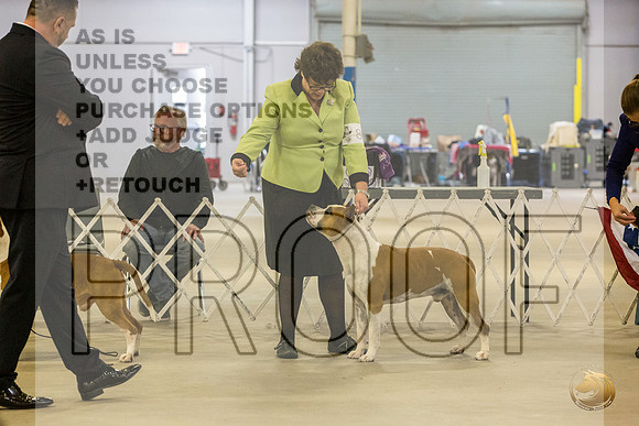 *Candids Tues BOB 5JJL_8782_STCABelton2023_HR3