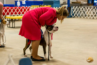 *Candids Tues Best Puppy