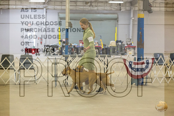 *Candids Tues BraceJJL_8908_STCABelton2023_HR3