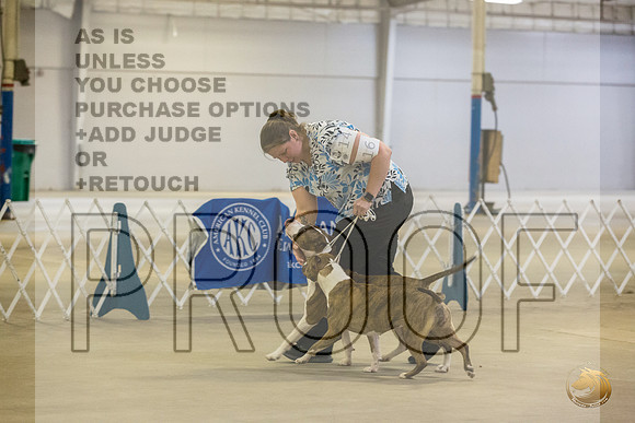 *Candids Tues BraceJJL_8916_STCABelton2023_HR3