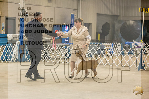 *Candids Tues Stud DogJJL_8877_STCABelton2023_HR3