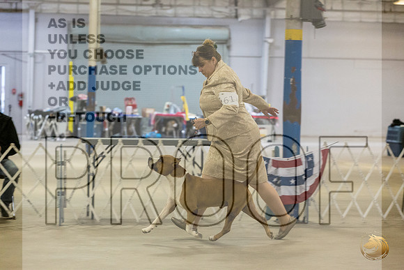 *Candids Tues VetsJJL_7966_STCABelton2023_HR3