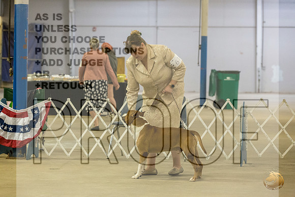 *Candids Tues VetsJJL_7968_STCABelton2023_HR3