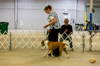 *Candids Tues Vets 2