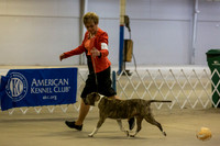 *Candids Tues Vets 4
