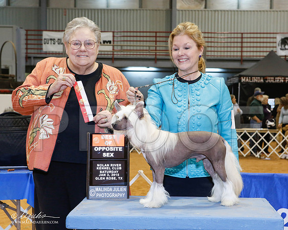 _MJ_5263-2-GlenRoseJan2015-HR3