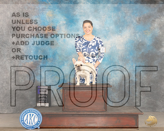 French Bulldog #8 Thur WB Judge Tim Robbins_JP_0047_Midland2024_HR3