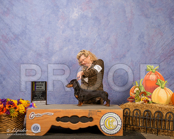 _CL_4580-SanAngelo2014-HR3
