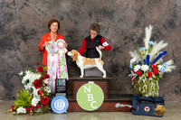 Beagle 15 #140 Mon BISweeps Judge Beverly Davies Fraser