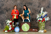 Beagle 15 #61 Mon 1218D3 Judge Beverly Davies Fraser
