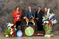 Beagle15 #8 Mon 694th Judge Beverly Davies Fraser
