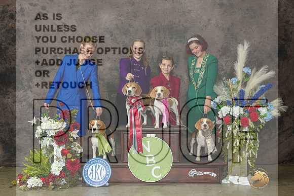 Beagles #241 231 237 242 Jrs Judge Linda Clark-_CL_7906_Beagle2023-HR3